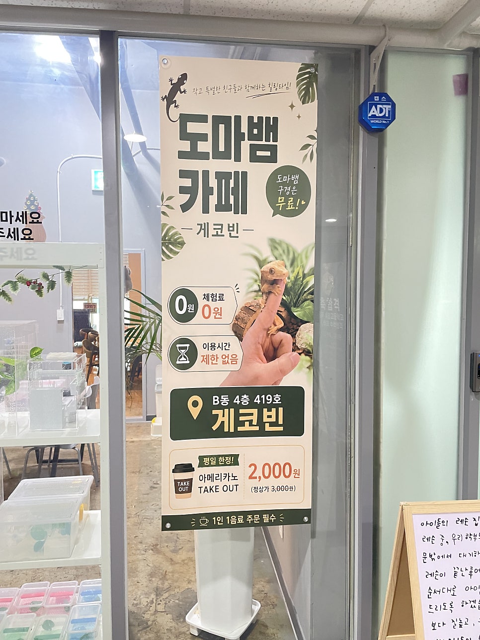 게코빈 사진 2