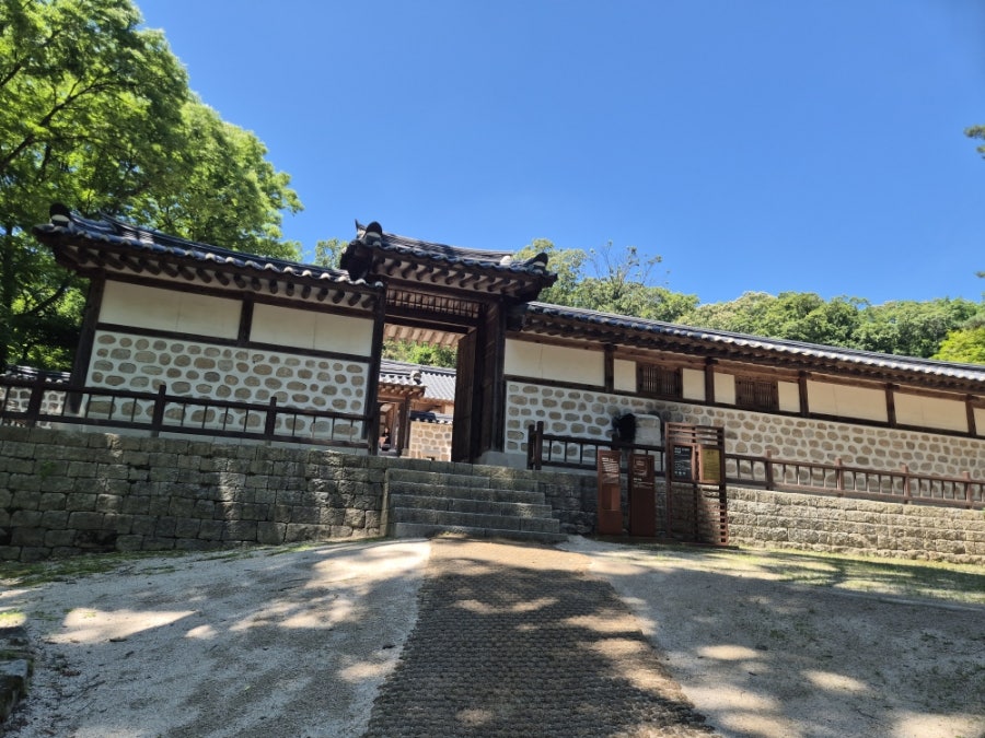 할머니만두국 사진 3