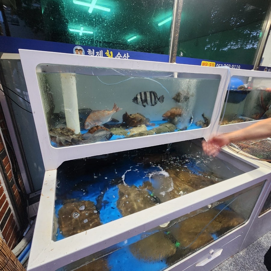 형제회수산 사진 3