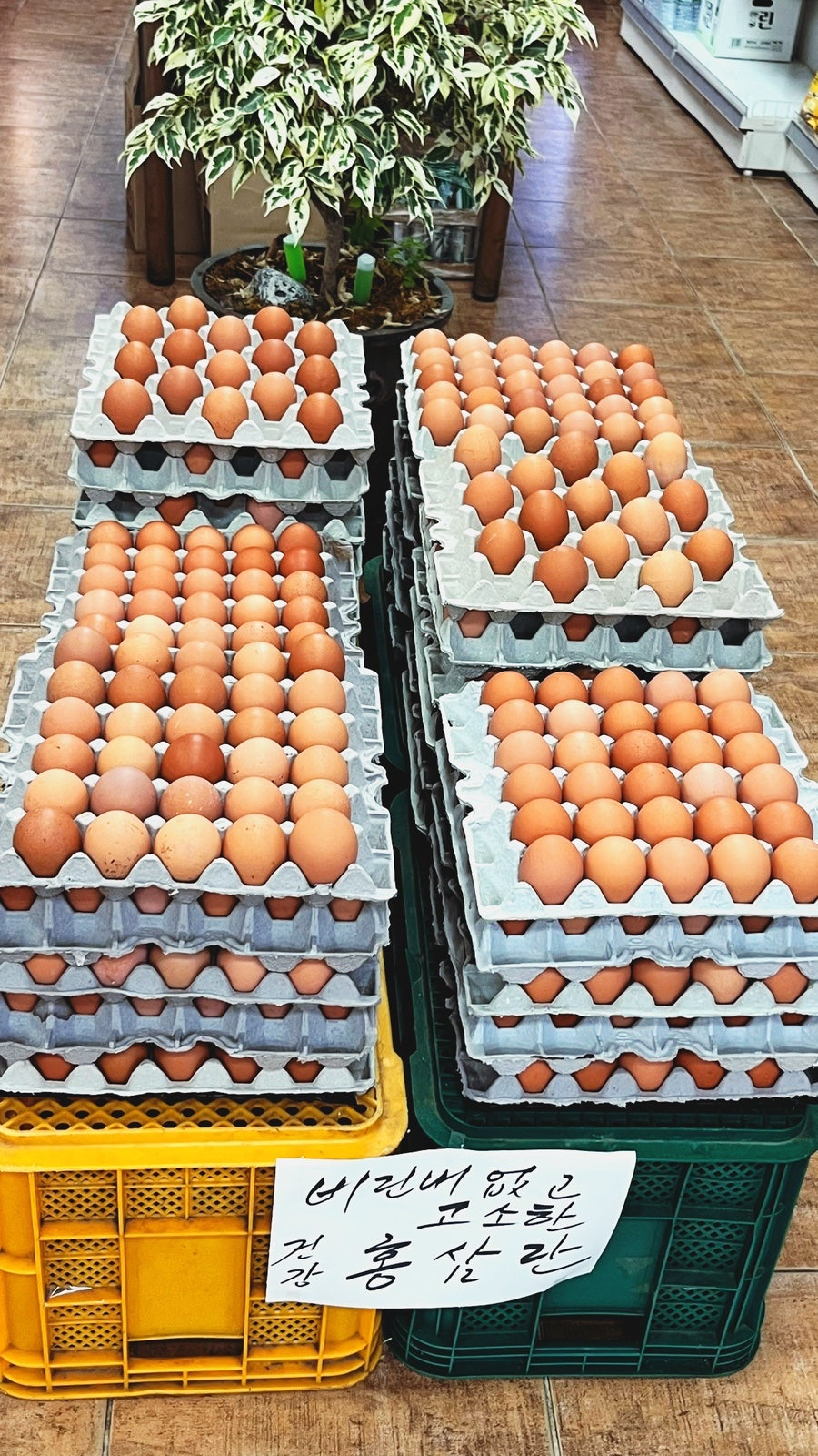배꽃재맛집 사진 3