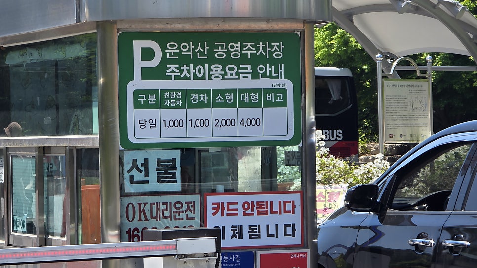 송악산 사진 3