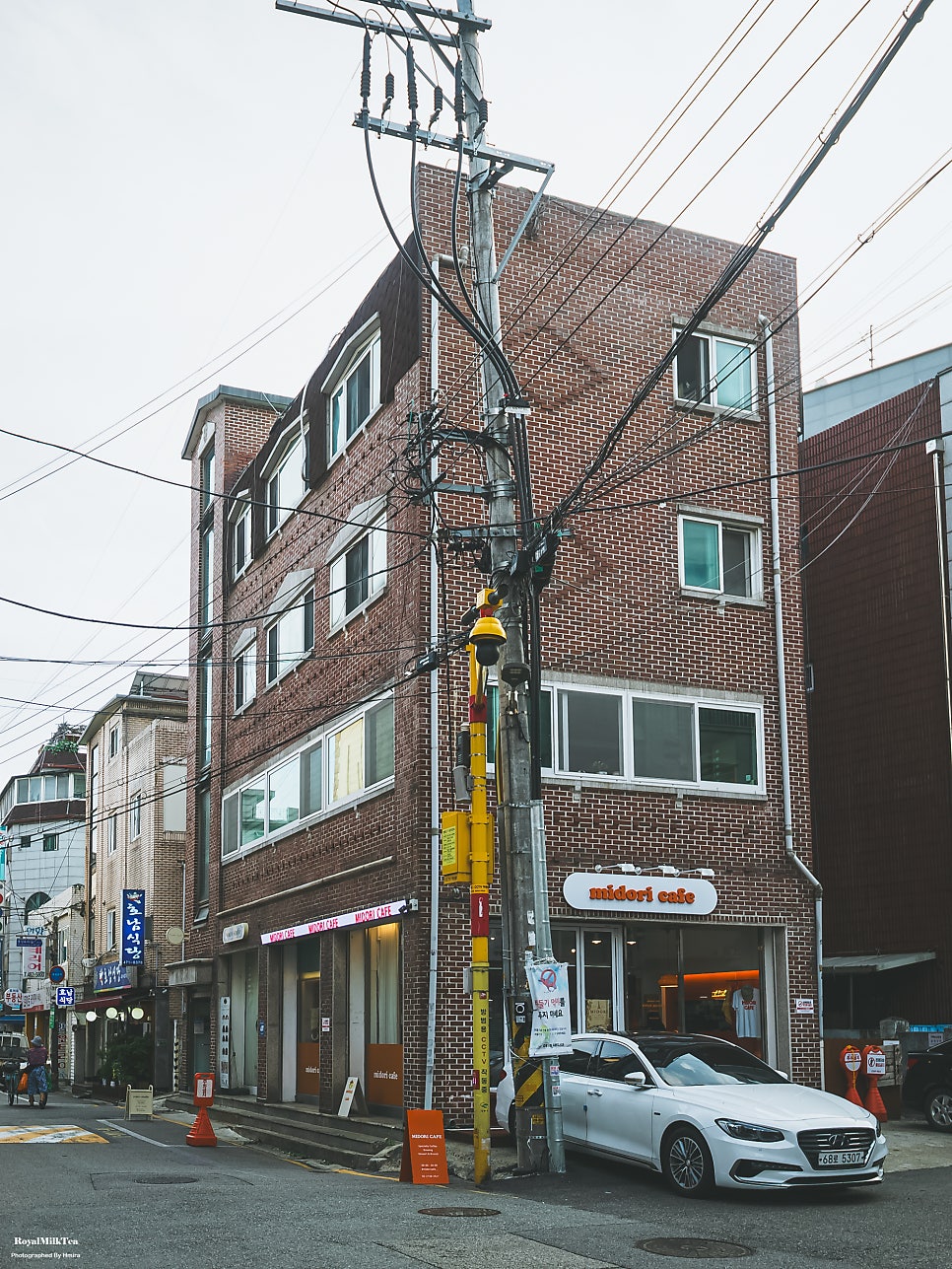 Midori photo 2