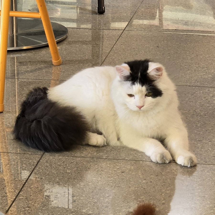 삼영커피 사진 6