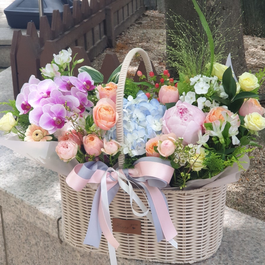 작약 사진 4
