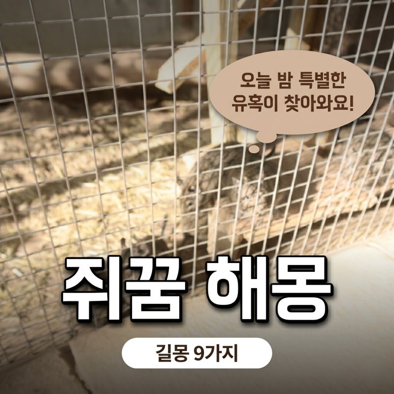 쥐 꿈 해몽, 상황별 쥐나오는꿈 길몽 9가지