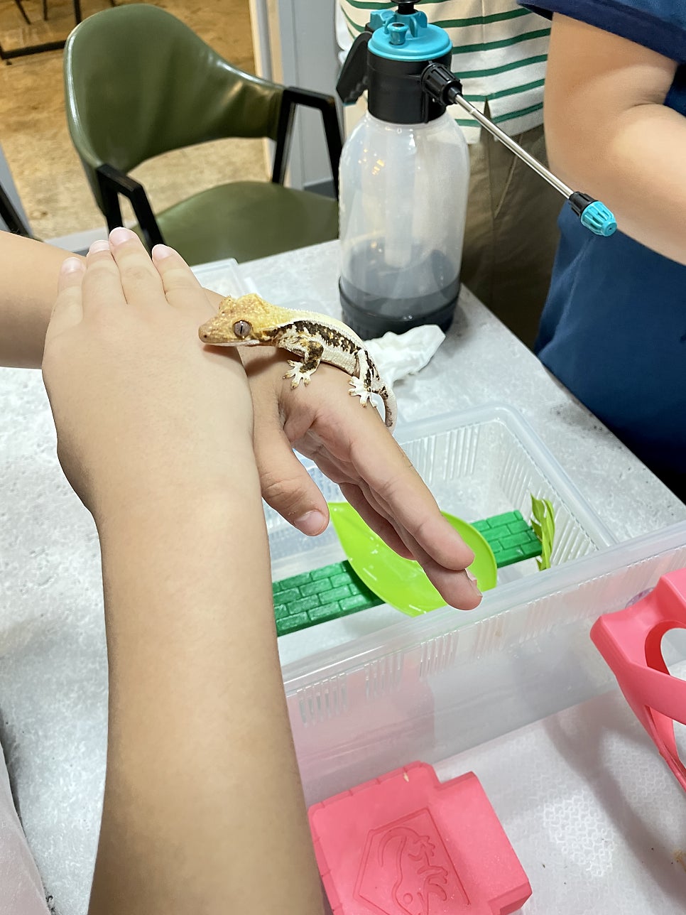 게코빈 사진 1