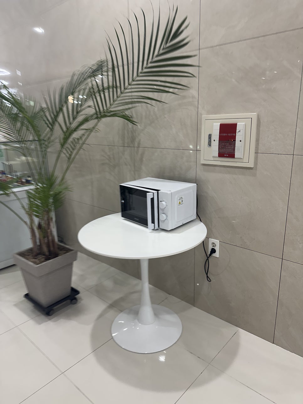 벨라스테이호텔 사진 5