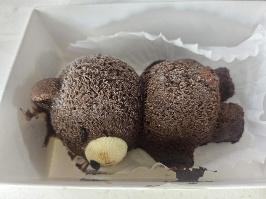 바이러브하니 사진 4