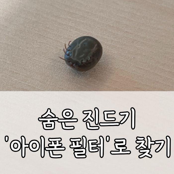 산책 후 참진드기 물렸을 때 대처법 ( 아이폰 필터로 찾는 방법 )