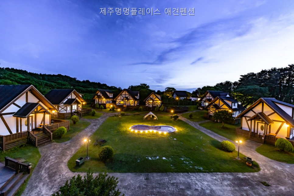멍멍플레이스 사진 1