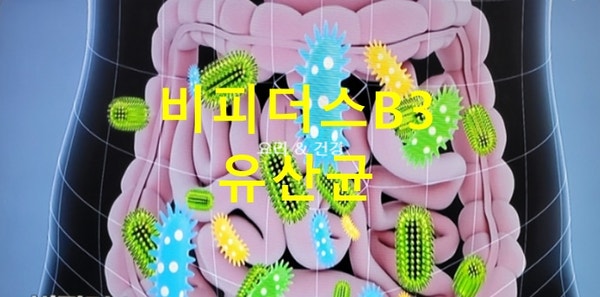 좋은아침 비피더스B3유산균 효능 장건강 & 다이어트 돕는 비피더스유산균 섭취 시 주의점