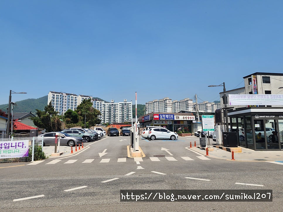 용문막국수 사진 3