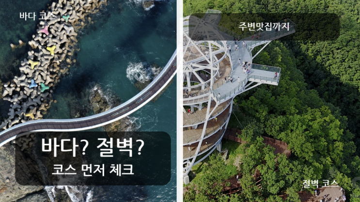 바다냐 절벽이냐, 스카이워크 명소별 추천 코스