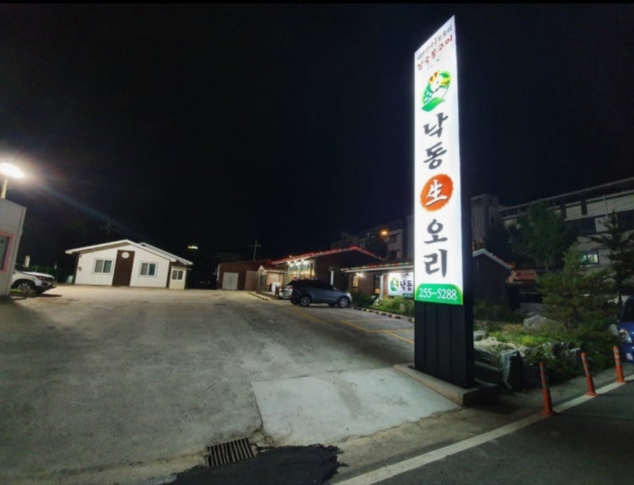낙동생오리 사진 1