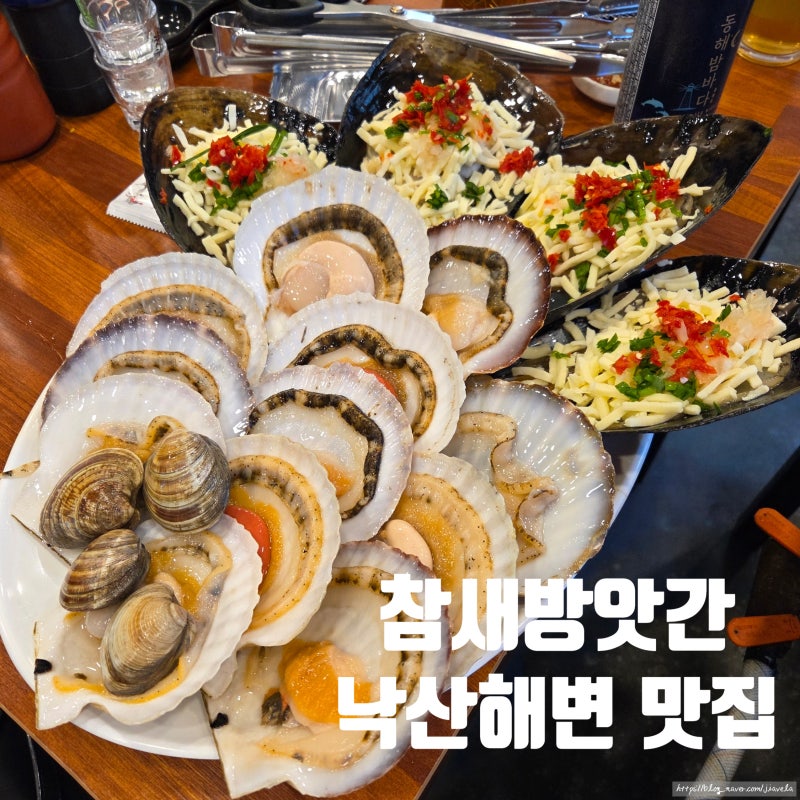 강원도 양양 낙산해수욕장 맛집 참새방앗간 조개구이 칼국수