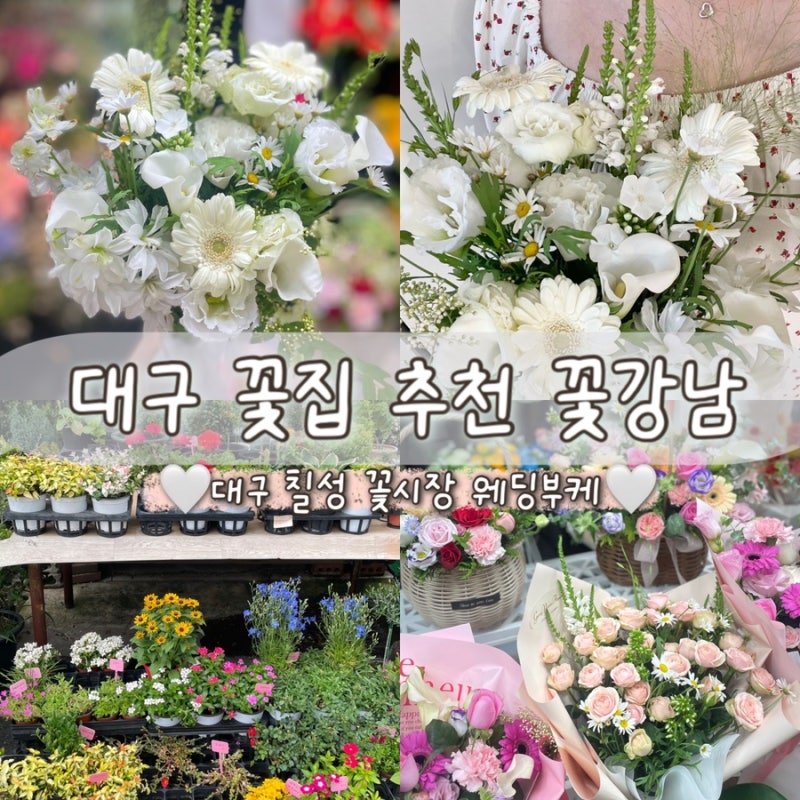 대구 꽃다발 추천 | 칠성꽃시장 꽃집에서 직접 픽업해보니 가격 차이 놀라웠어요