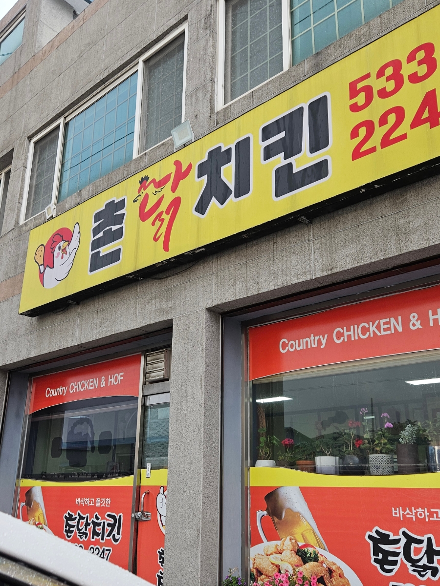 촌닭 사진 1
