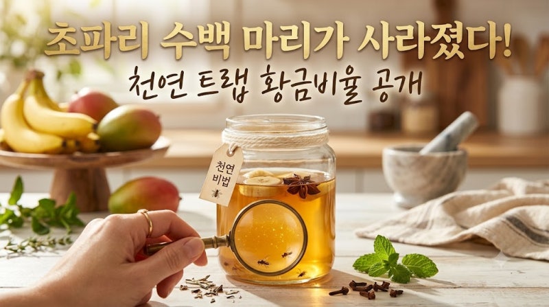 초파리 수백 마리가 사라졌다! 천연 초파리 트랩 황금비율 공개