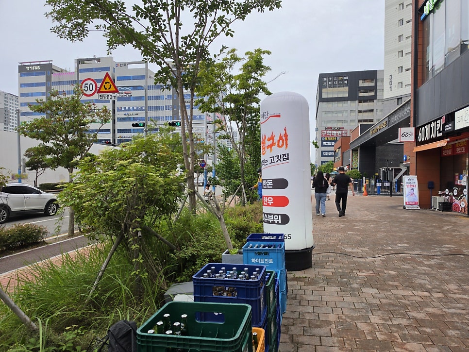 신미관 사진 1
