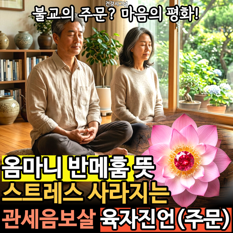 옴마니반메훔 뜻 완벽 정리! 관세음보살 육자진언(주문)의 놀라운 의미