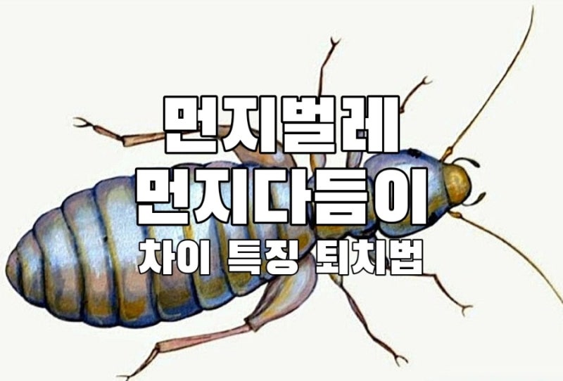 익충 먼지벌레 해충 먼지다듬이 차이 생기는 이유 특징 퇴치방법
