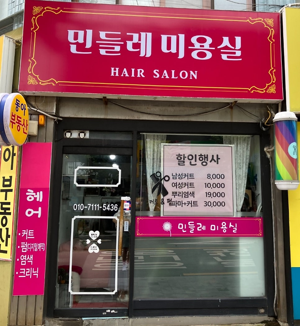 민들레 사진 1