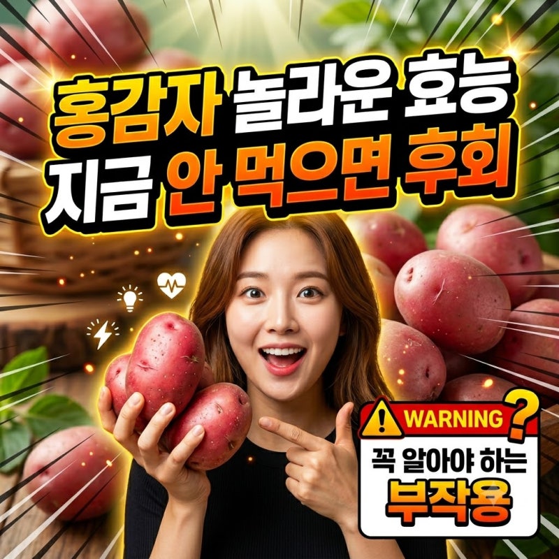 홍감자 놀라운 효능 지금 안먹으면 후회 그리고 꼭 알아야하는 부작용