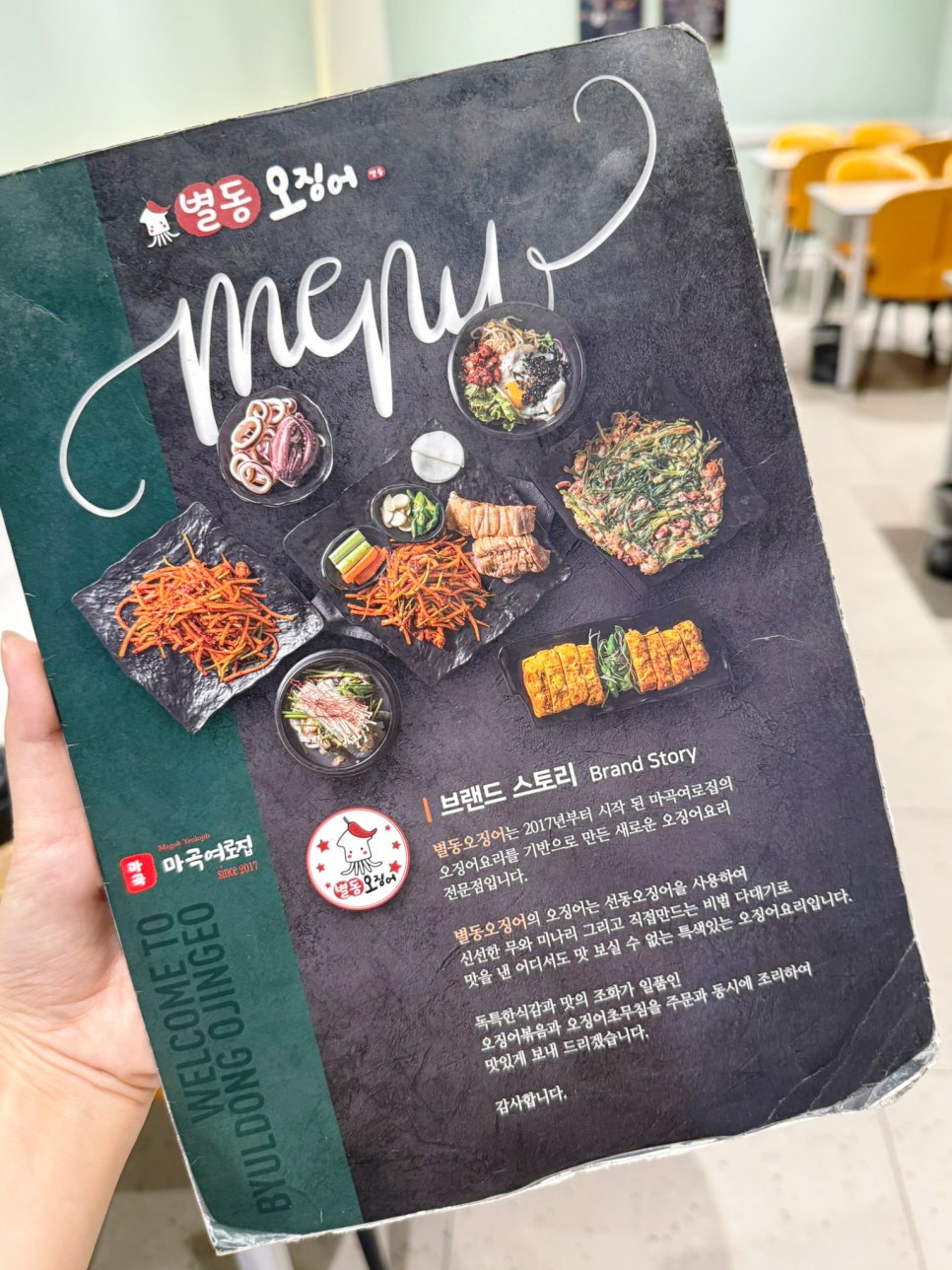 별동오징어 사진 6