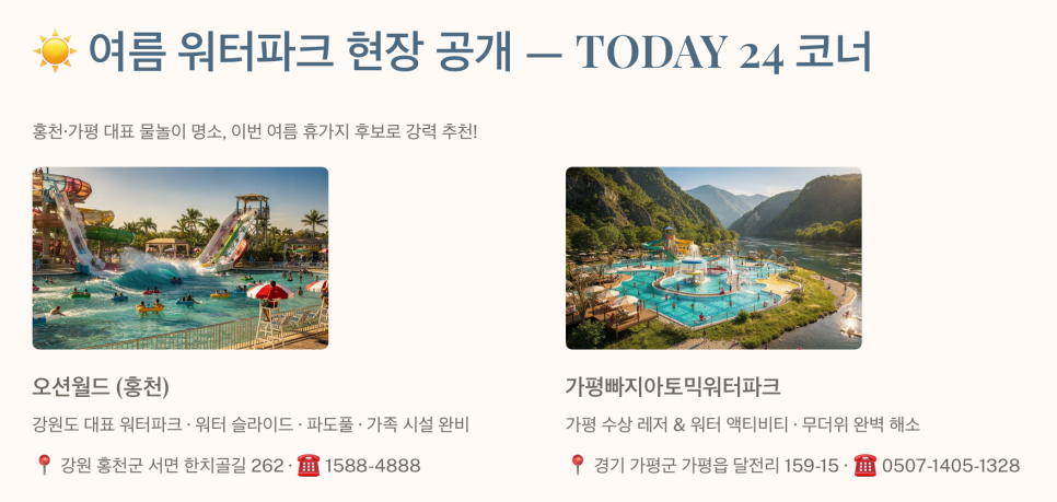 포도원 사진 4