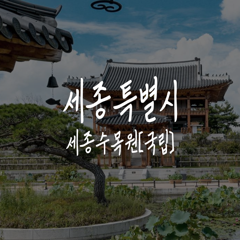 주말 가족나들이 추천 국립세종수목원 아이랑 가볼만한 곳 맛집카페까지 하루 코스