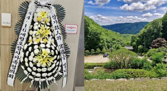<b>세월호</b> 생존 학생 안타까운... 집행위원장 "<b>생존자</b>도 같은... 