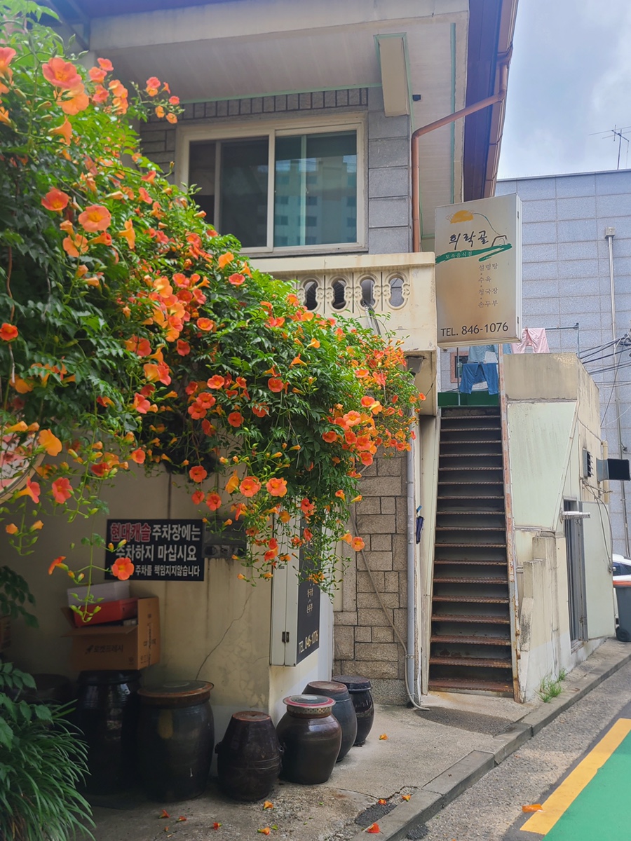 희락골 사진 6