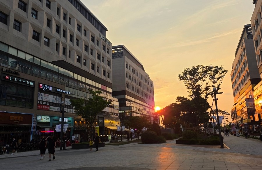 동명닭집 배곧점 사진 1