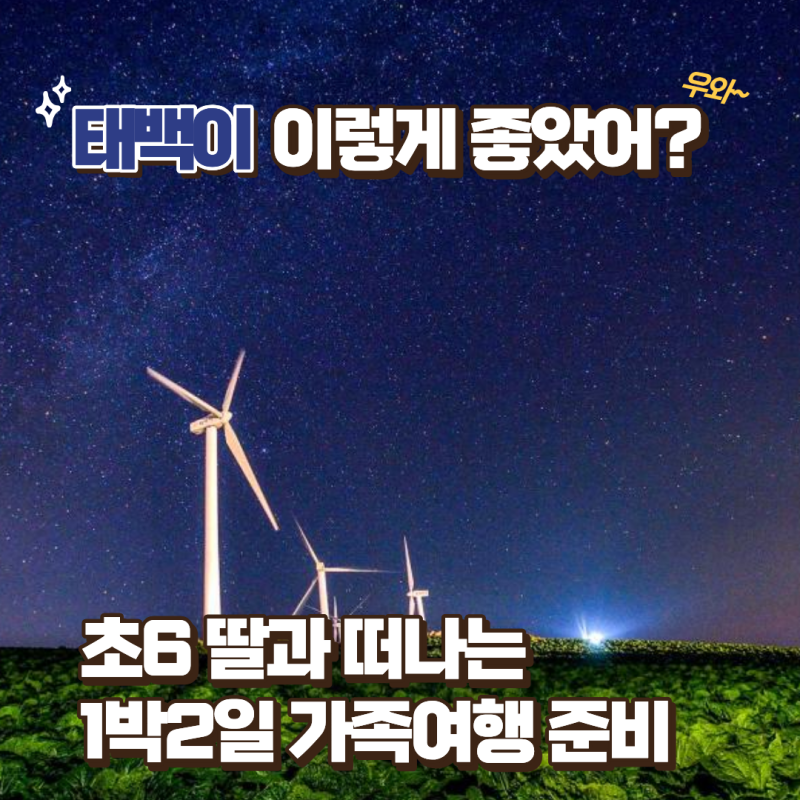 태백 가볼만한곳 추천! 초6 딸과 떠나는 1박2일 가족여행 코스 총정리