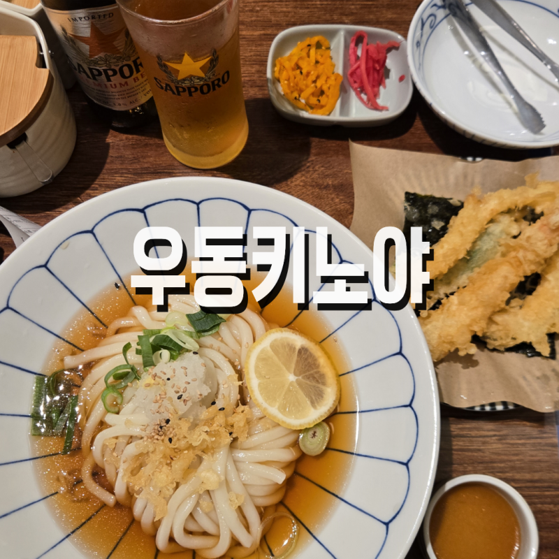 우동키노야 과천점 숙성우동 맛집 오픈