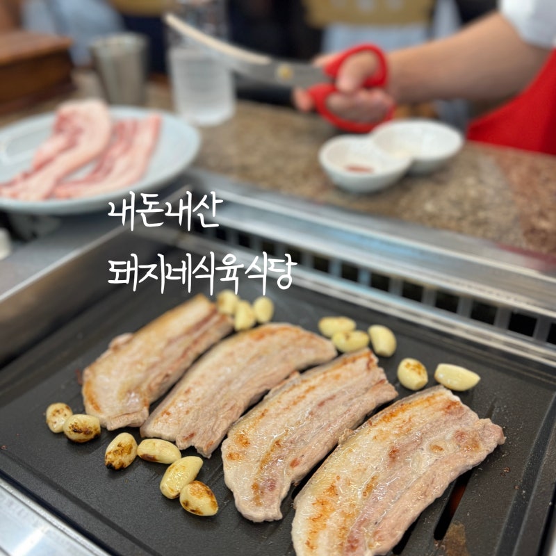 문경 약돌돼지 맛집 내돈내산 이번 여행에서 가장 맛있었던 곳