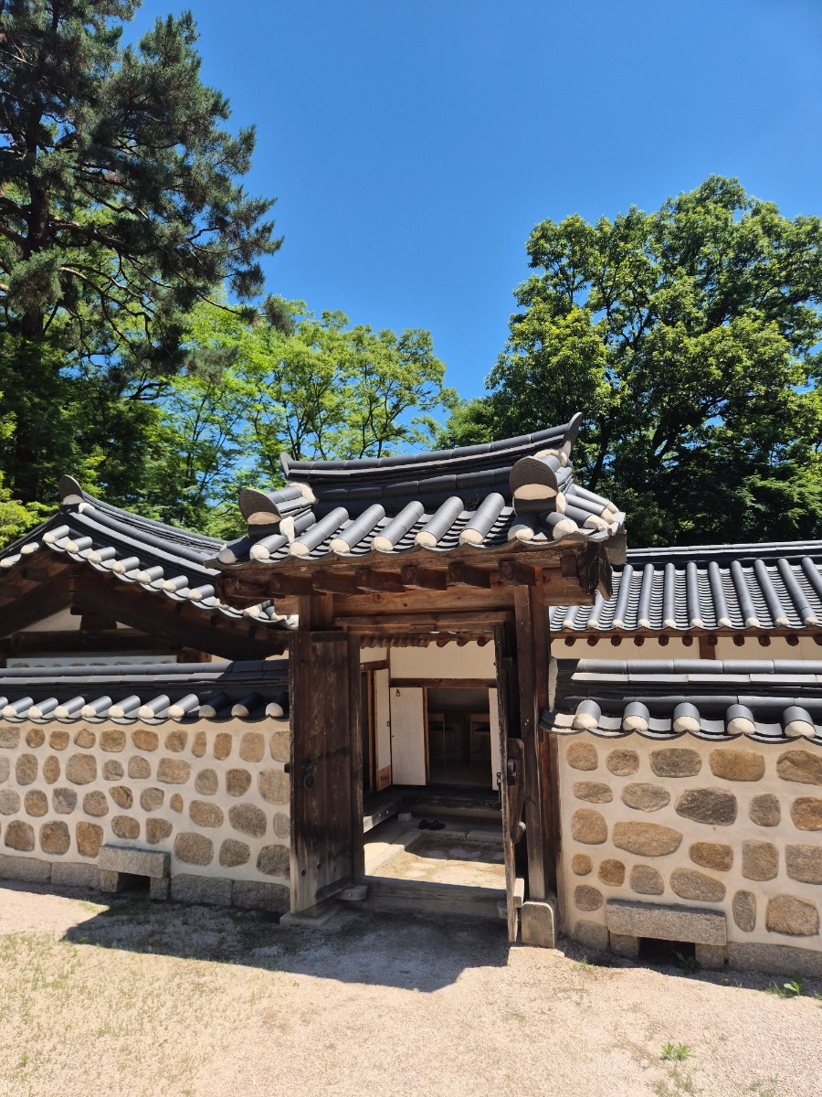 할머니만두국 사진 5