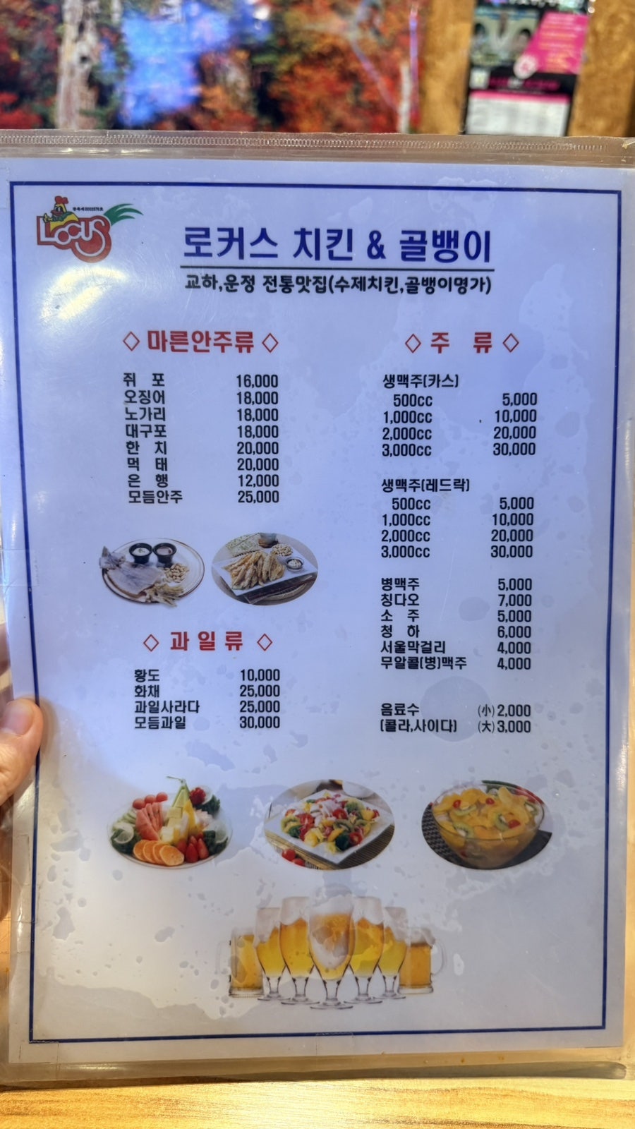 로커스치킨 교하운정점 사진 6