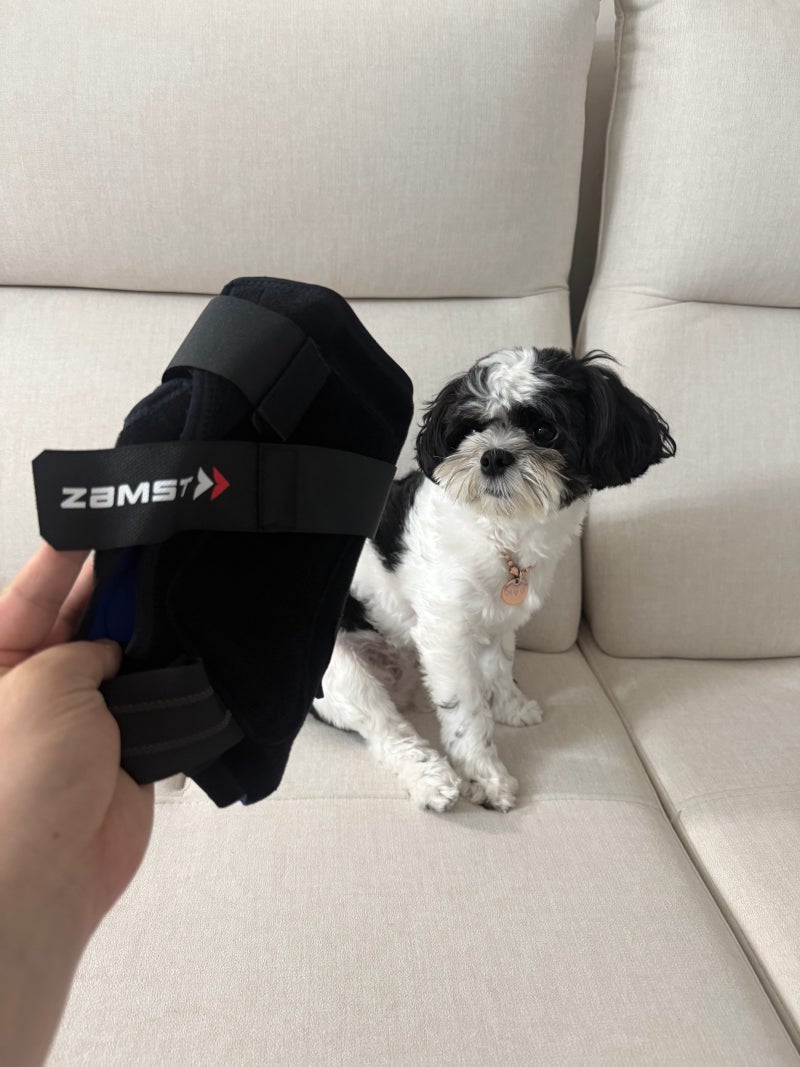 잠스트(ZAMST) 발목보호대 A1 / 기본형