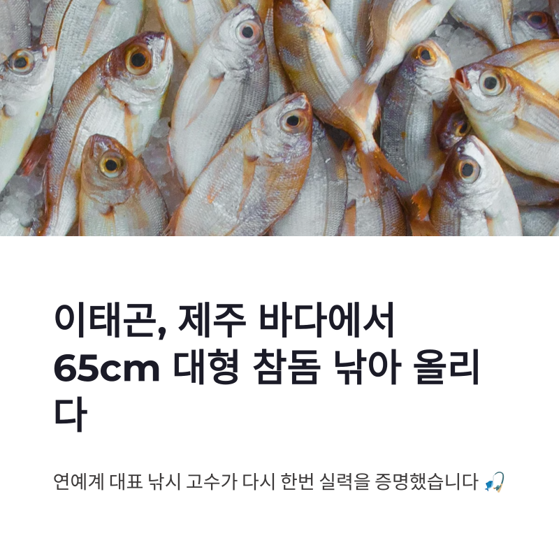 이태곤 제주 참돔 낚시 화제, 65cm 대형 참돔으로 다시 증명한 낚시 실력