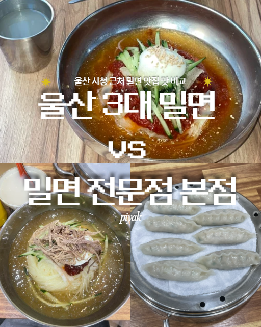 울산3대밀면 사진 1