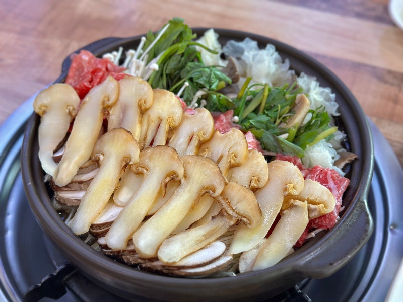 [양양] 애견동반 맛집 추천! 자연 속 힐링이 가능한 양양송이버섯마을