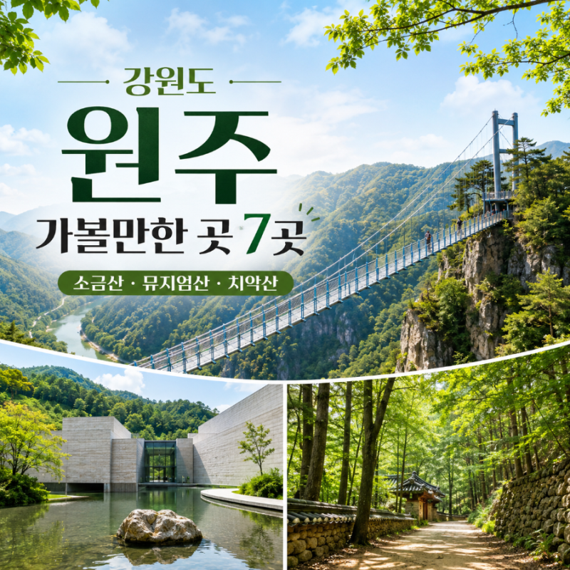 강원도 원주 가볼만한 곳 추천 | 소금산부터 뮤지엄산까지 1박2일 여행 코스