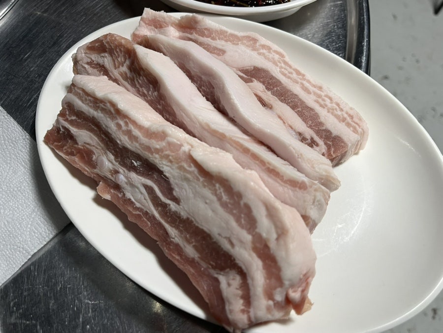 돈돼지 사진 6