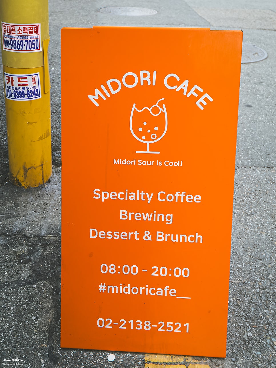 Midori photo 3