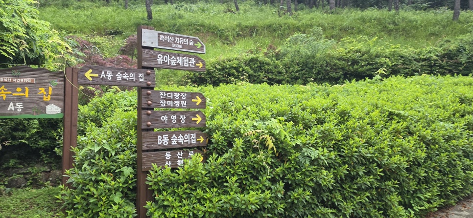 숲속의집 사진 1