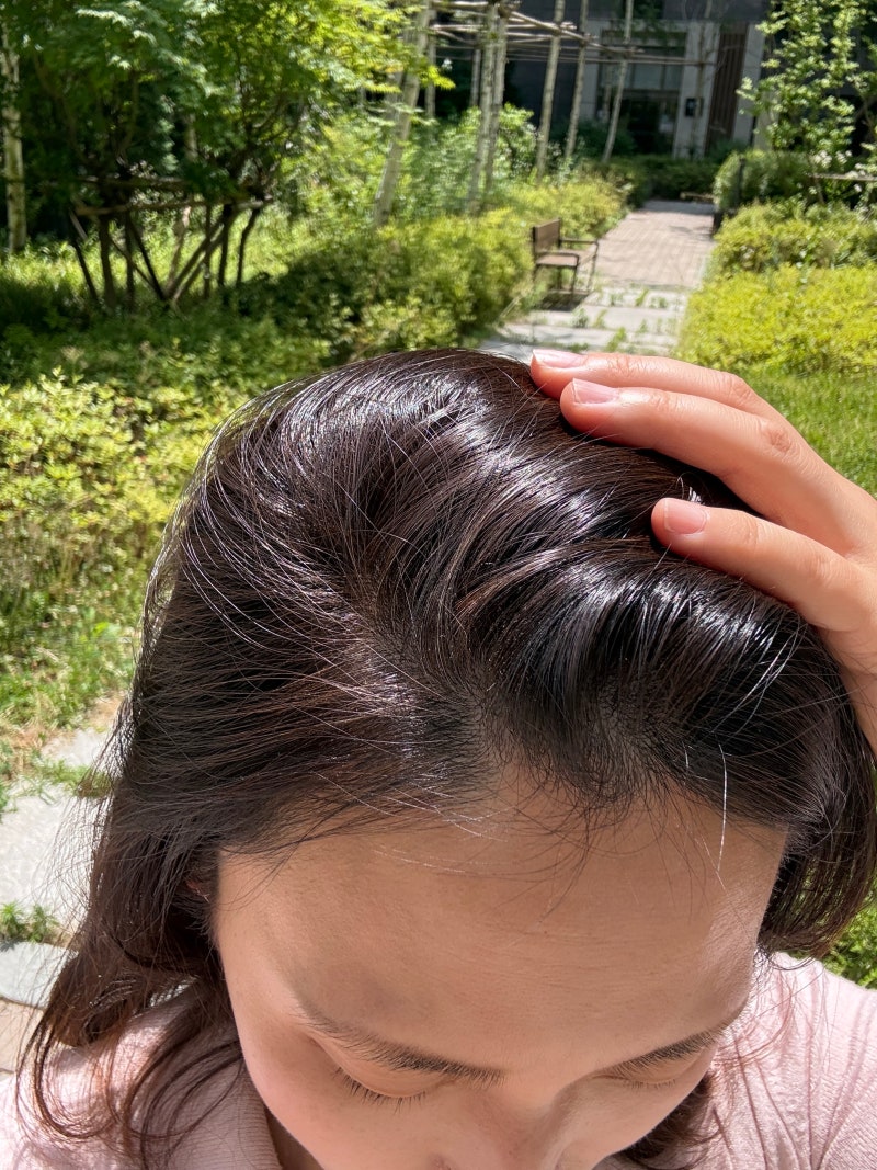 흰머리 새치 셀프염색 추천, 로레알파리 5호 라이트 브라운