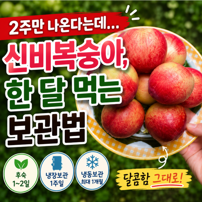 신비복숭아, 2주만 나온다는데 한 달 먹는 보관법