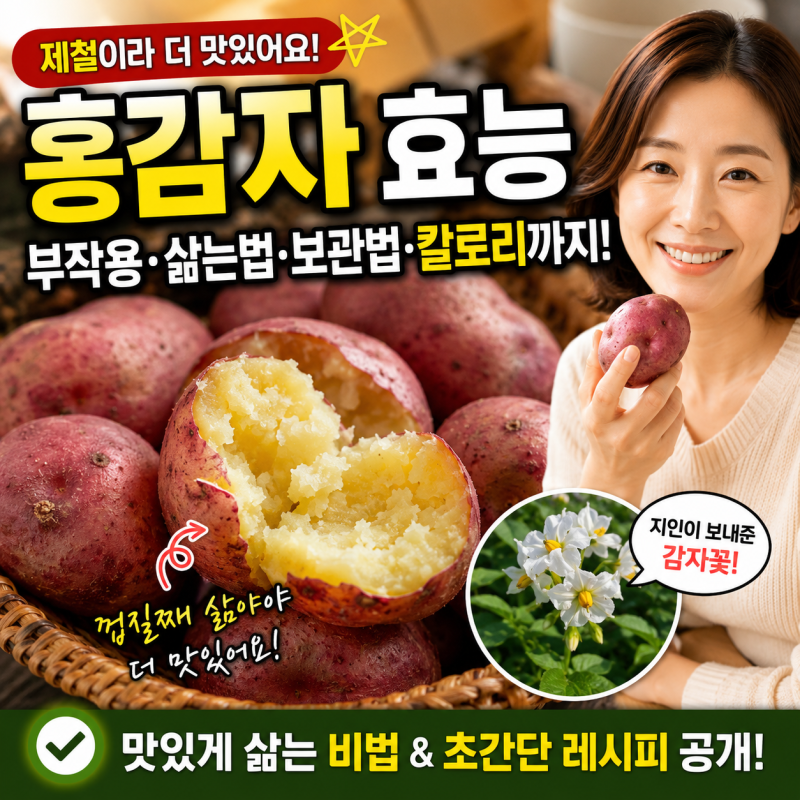 홍감자효능 부작용, 삶는 법, 보관법, 칼로리까지