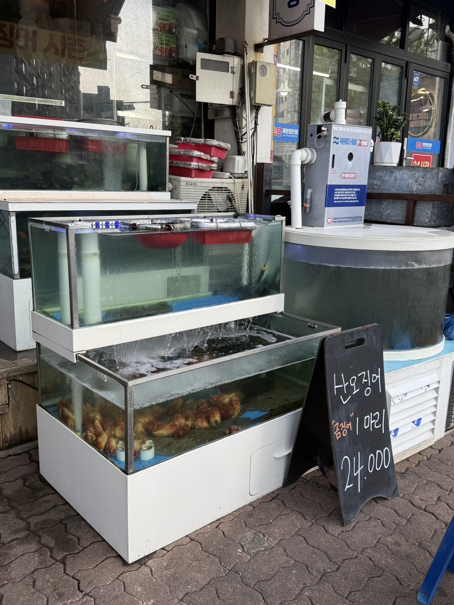 오징어당 안산성포점 사진 2
